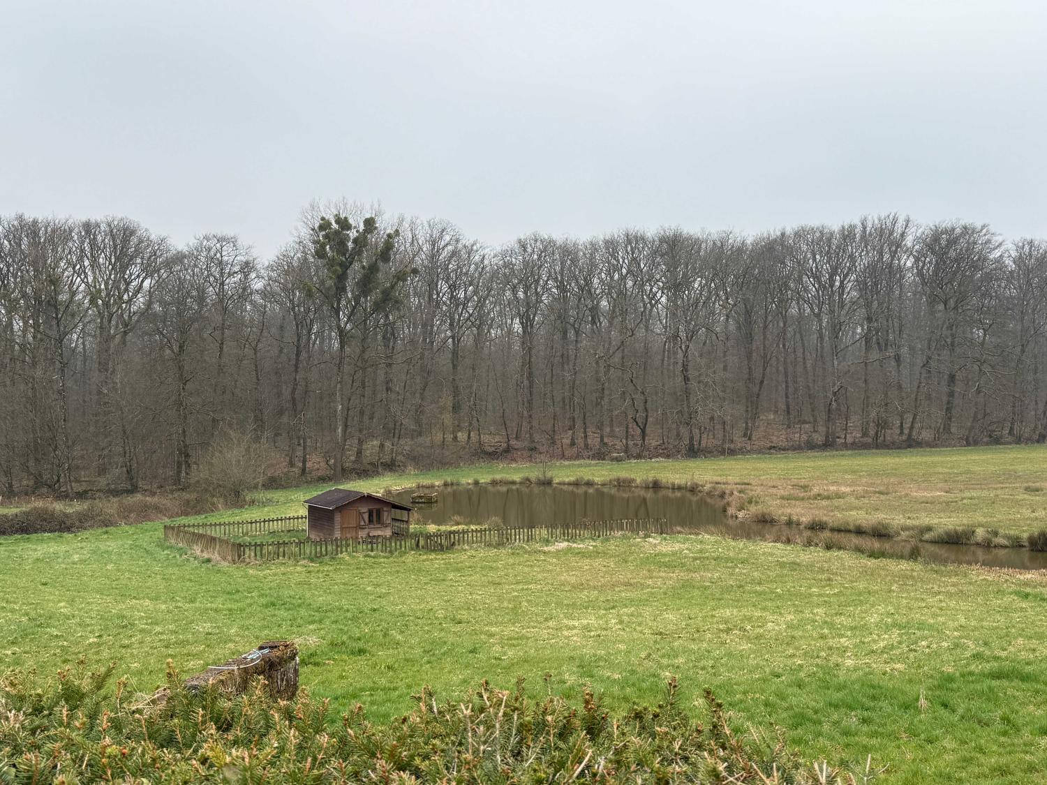  for sale detached house Hennezel Vosges 33