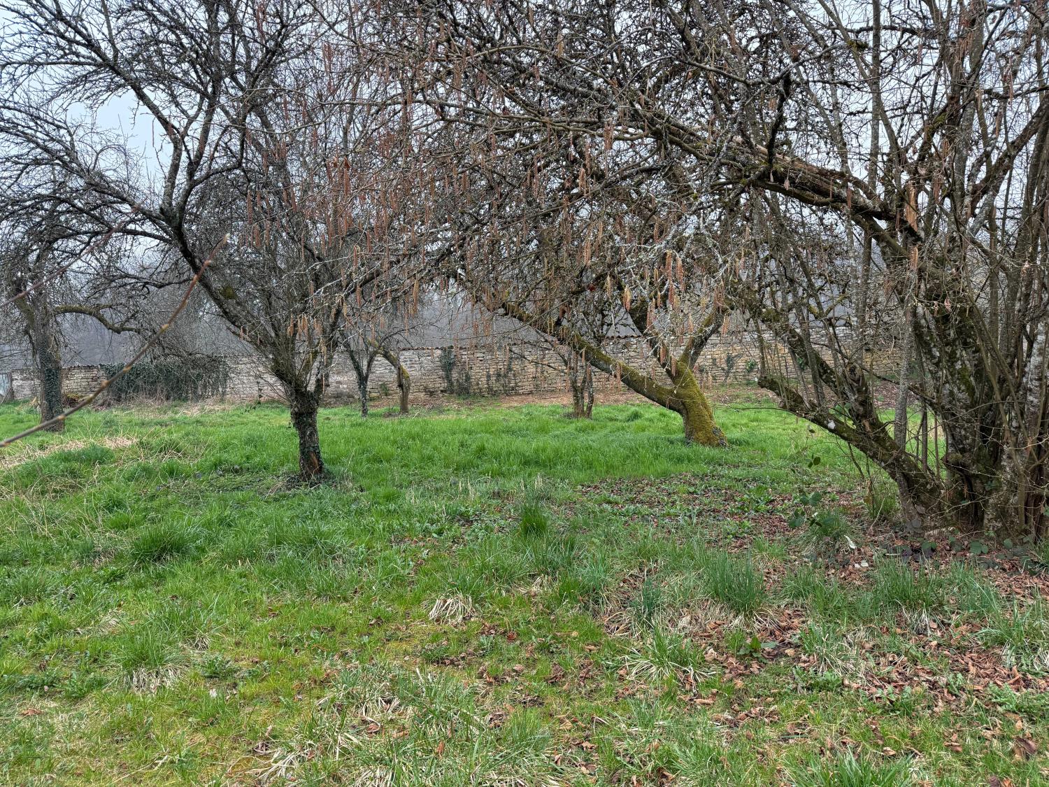  for sale detached house Hennezel Vosges 22