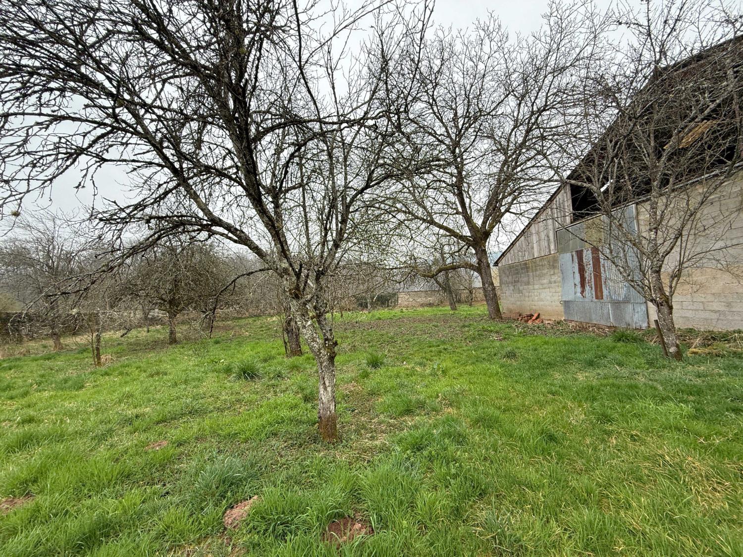  for sale detached house Hennezel Vosges 19