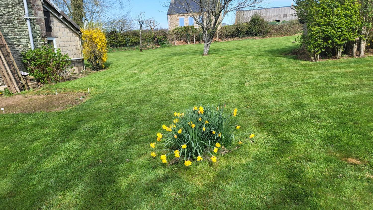  for sale house Tinchebray Orne 3