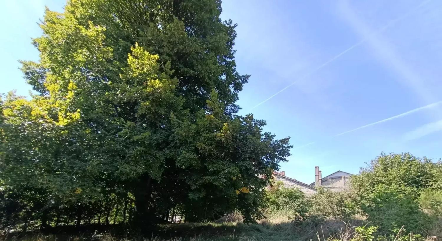  for sale house Saint-Maurice-près-Crocq Creuse 18