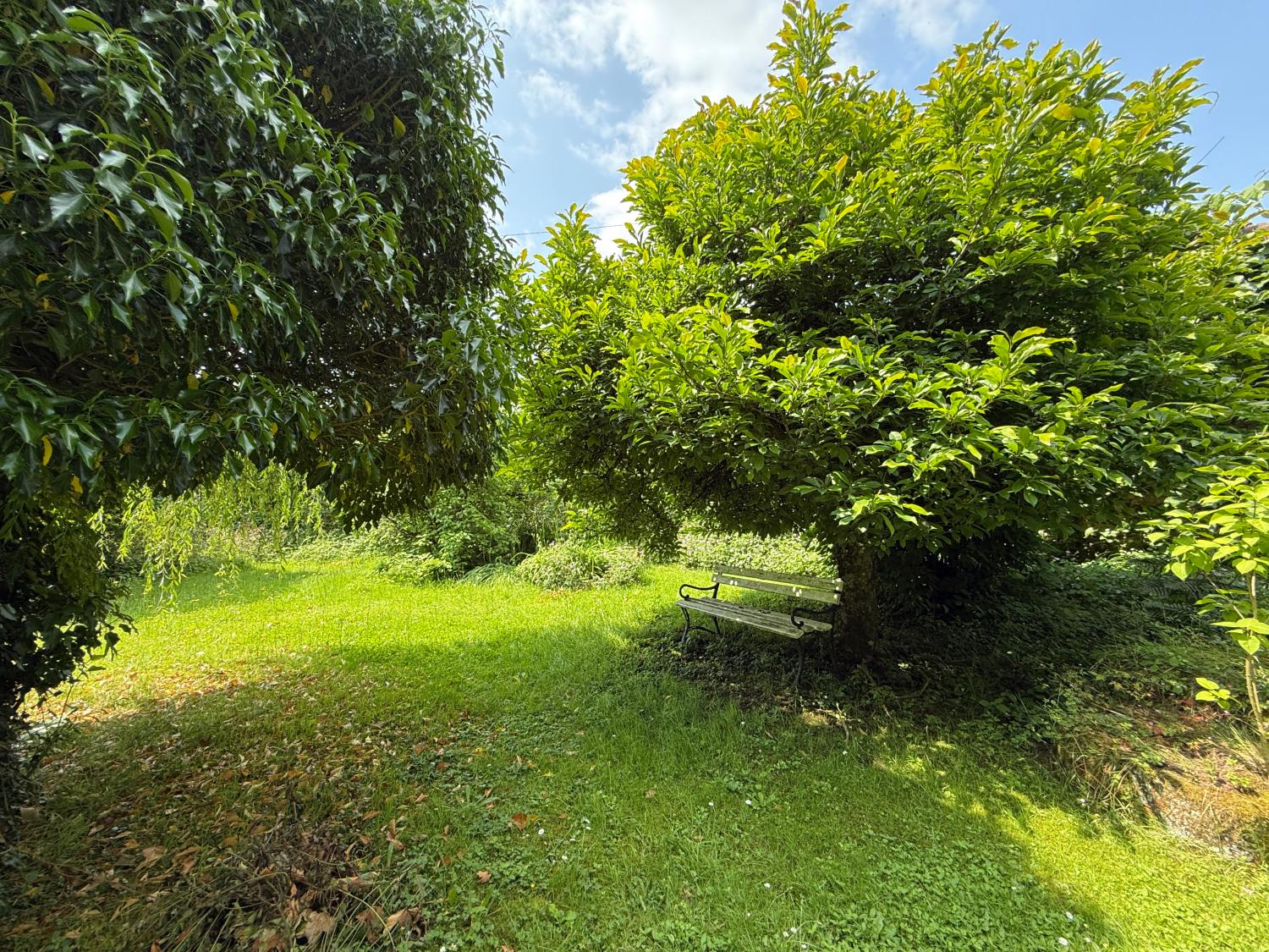  for sale detached house Hennezel Vosges 41