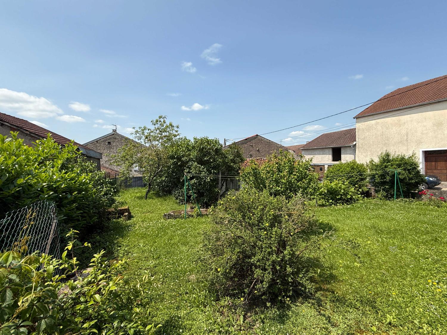  for sale village farm Voisey Haute-Marne 49