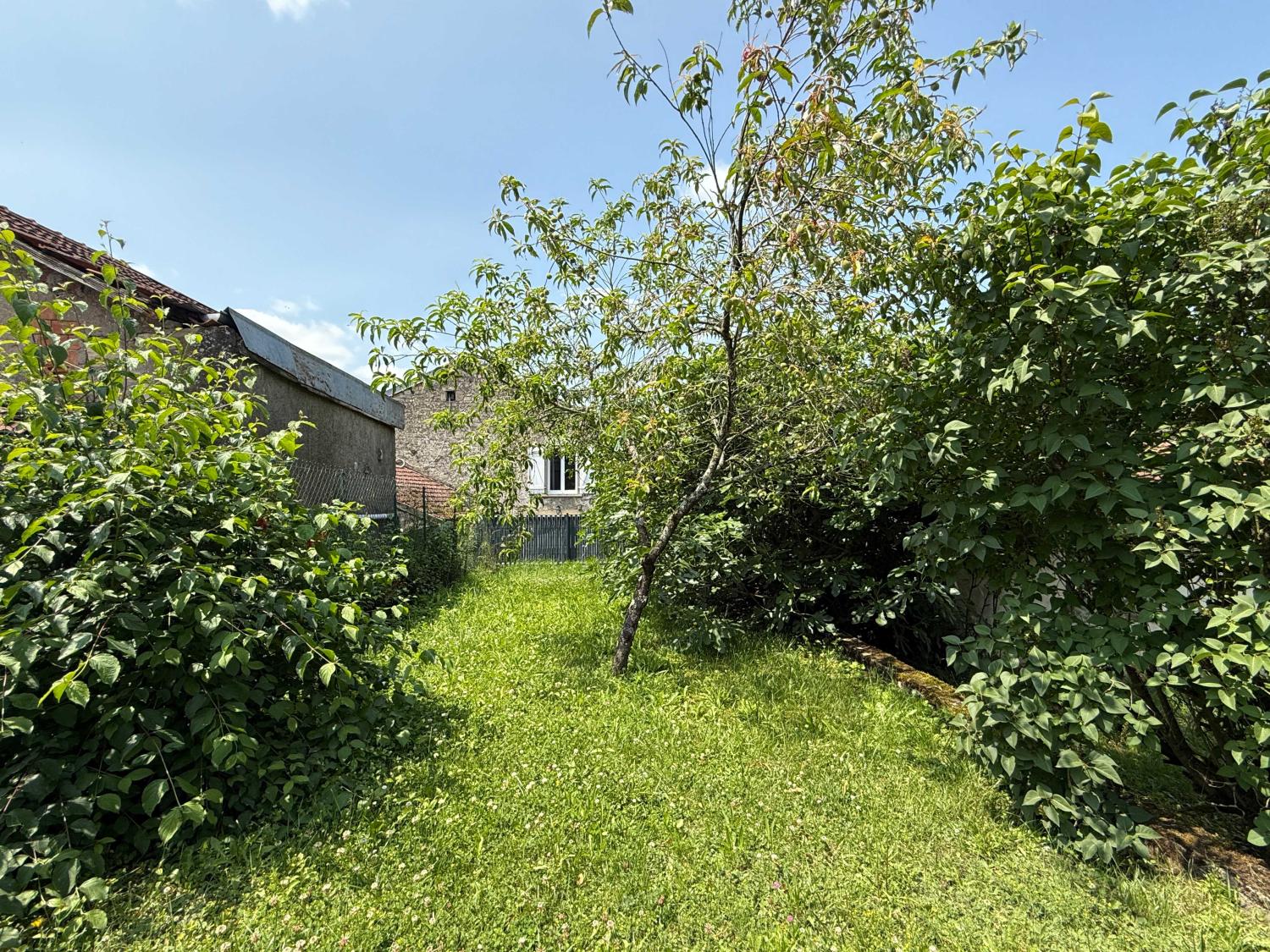 for sale village farm Voisey Haute-Marne 45