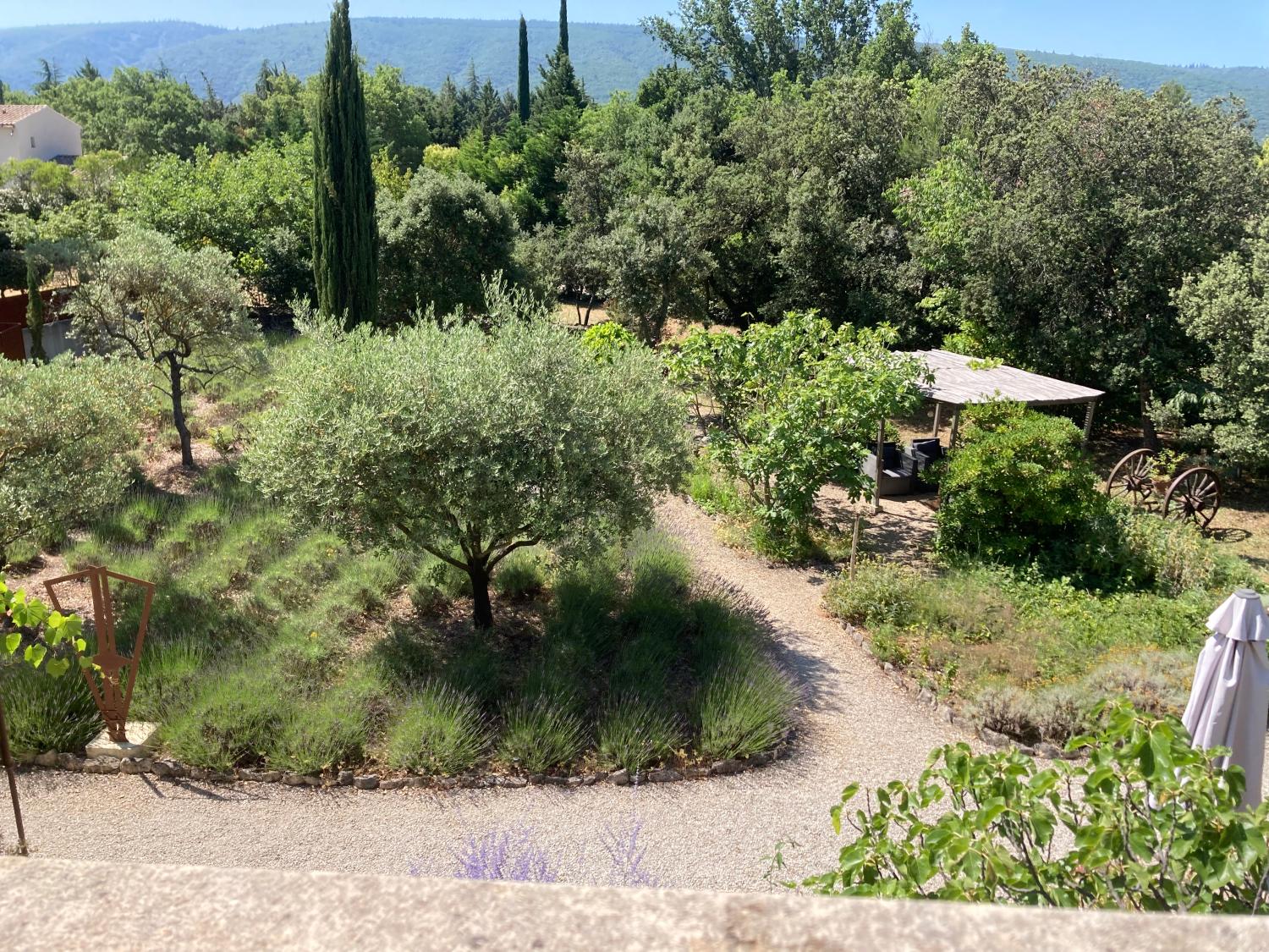  for sale bed and breakfast Lacoste Vaucluse 18