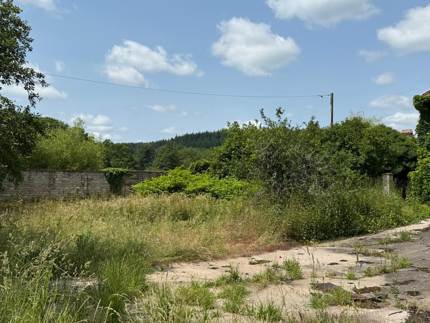  for sale detached house Hennezel Vosges 45