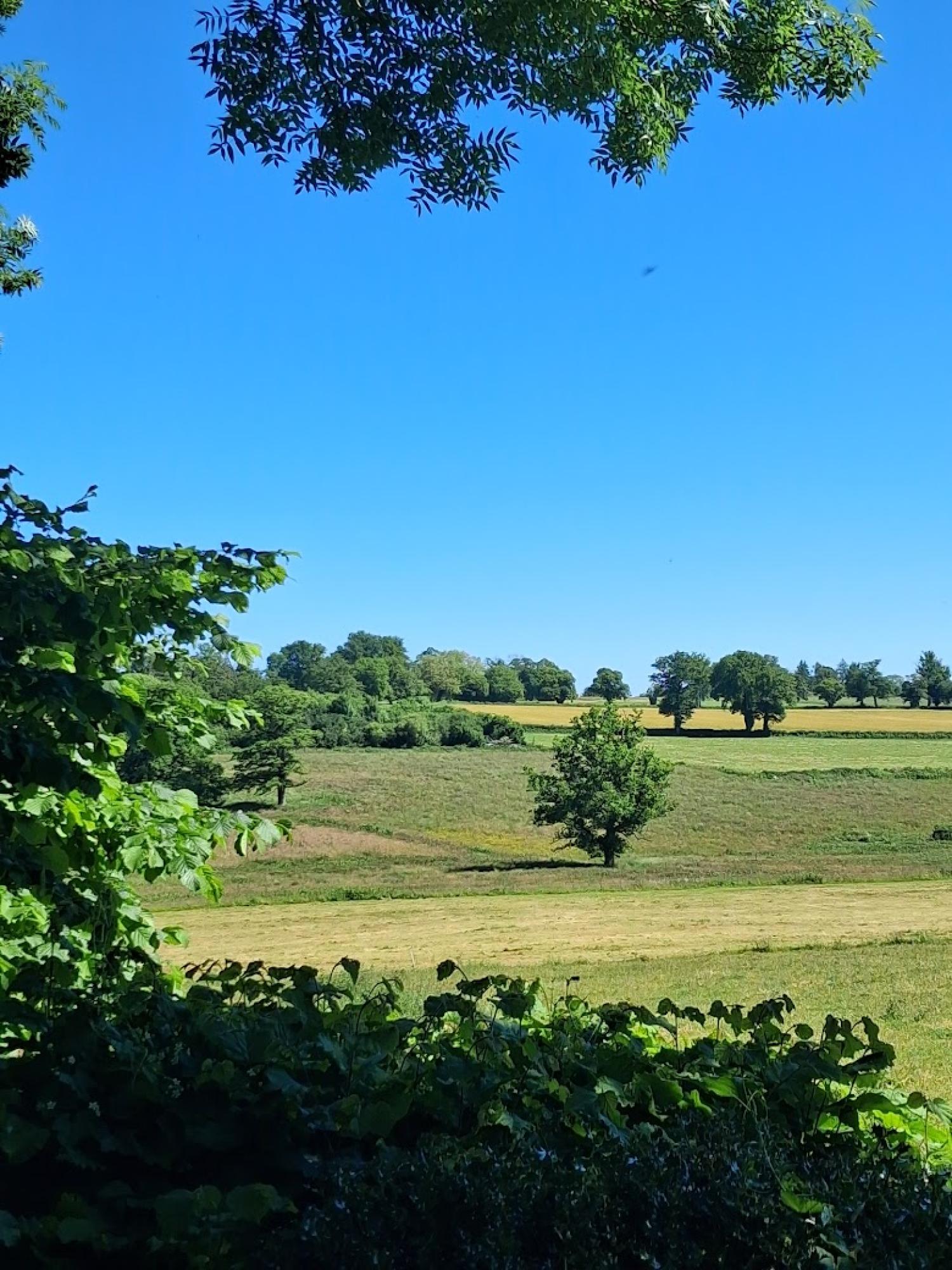  for sale detached house Préveranges Cher 40