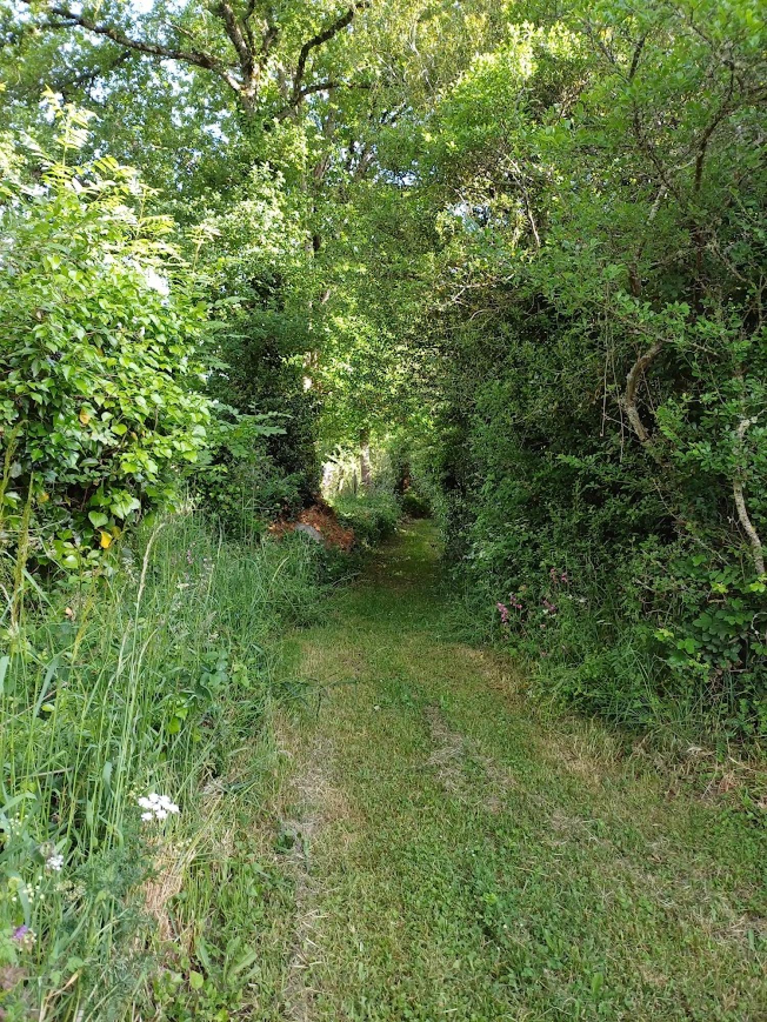  for sale detached house Chénérailles Creuse 4