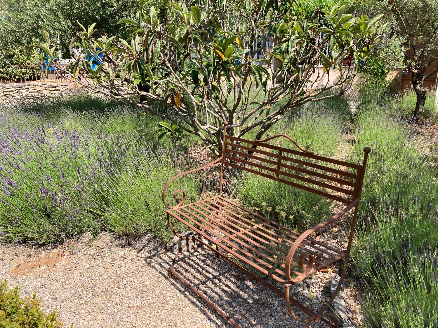  for sale bed and breakfast Lacoste Vaucluse 16