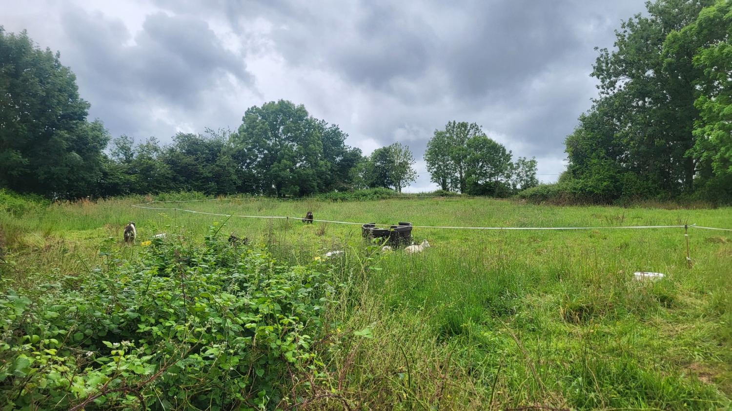  for sale detached house Tessy-sur-Vire Manche 24