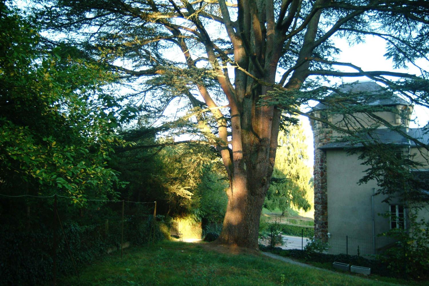  for sale castle Saint-Honoré-Les-Bains Nièvre 2