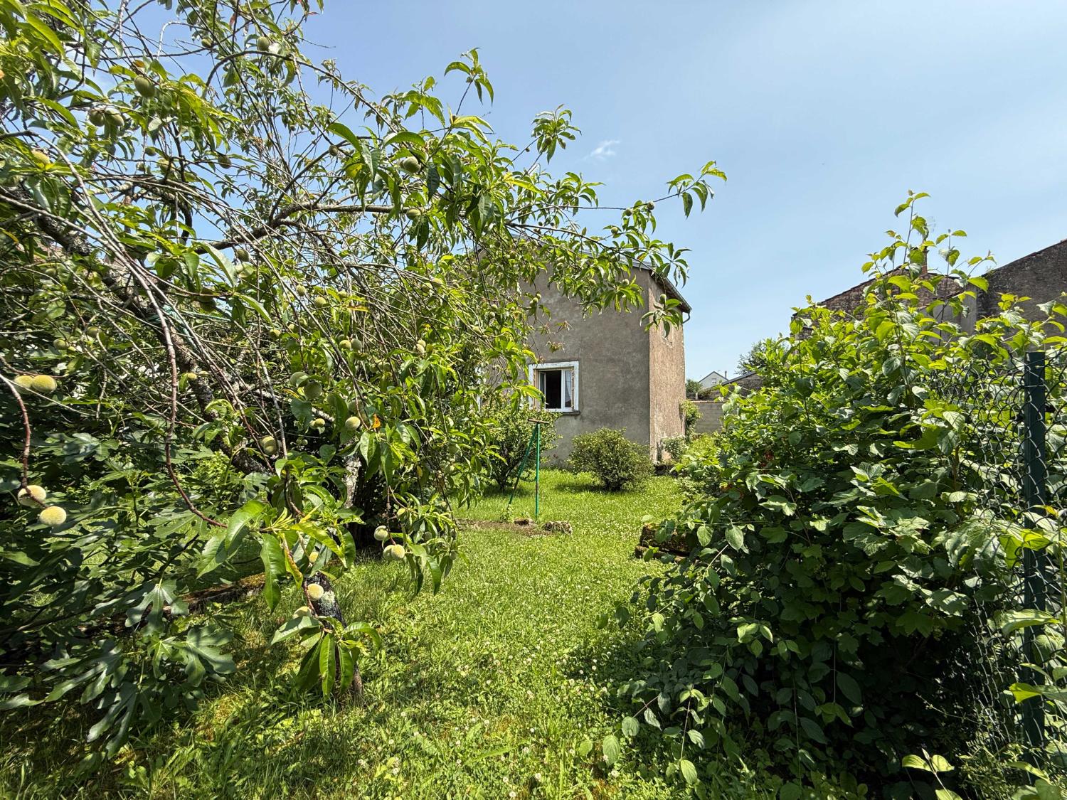  for sale village farm Voisey Haute-Marne 47