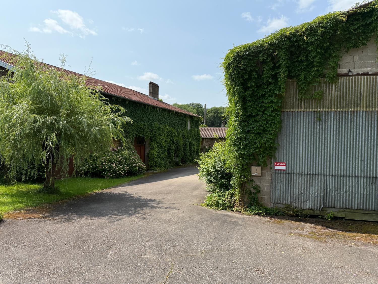  for sale detached house Hennezel Vosges 1