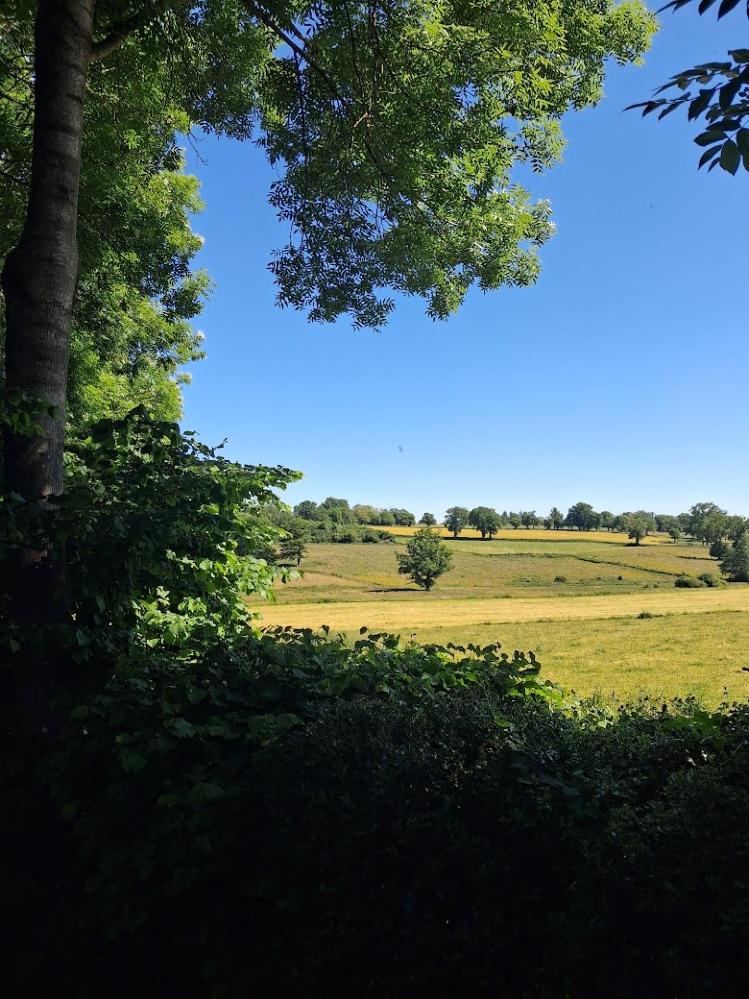  for sale detached house Préveranges Cher 41