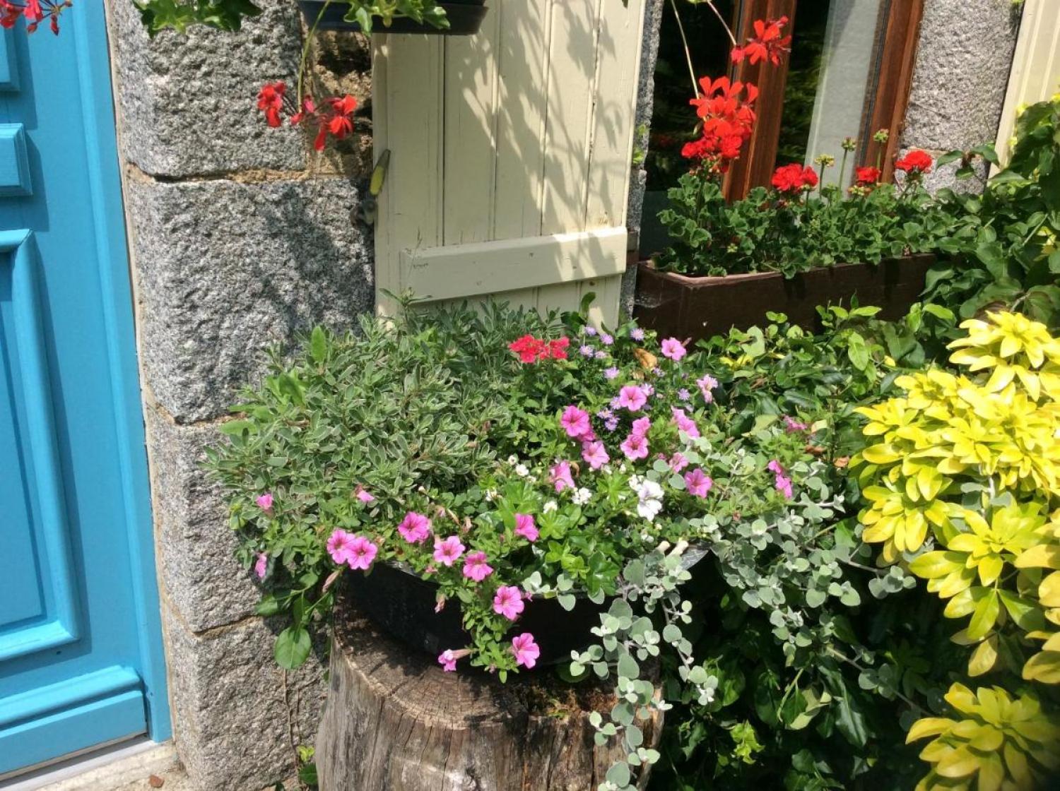  for sale property with holiday home Saint-Hilaire-du-Harcouët Manche 13