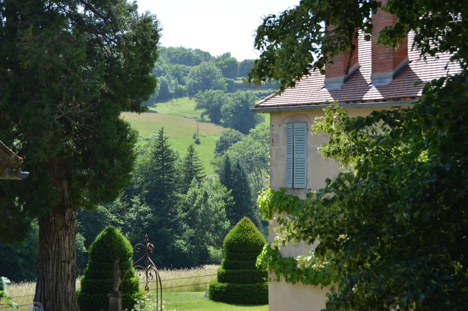  for sale castle Luzy Nièvre 16