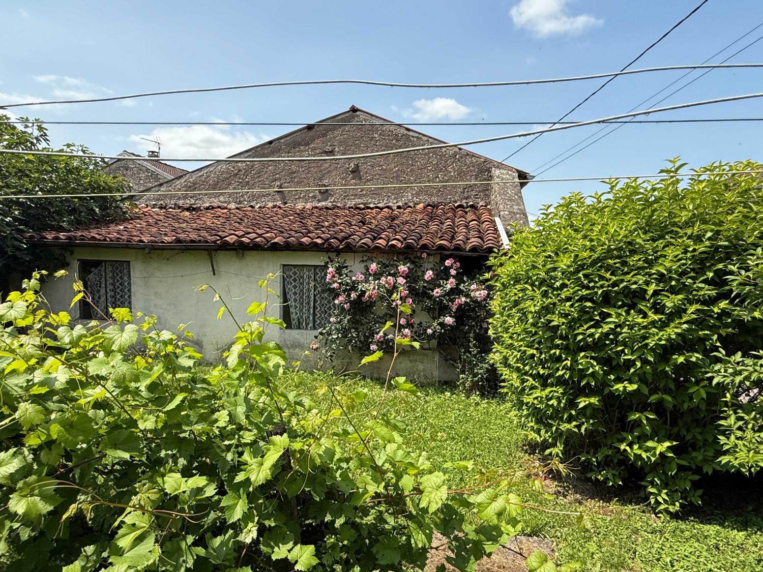  for sale village farm Voisey Haute-Marne 44