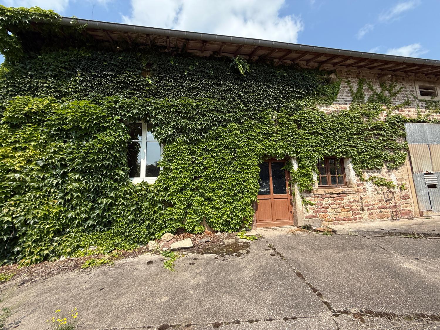  for sale detached house Hennezel Vosges 51