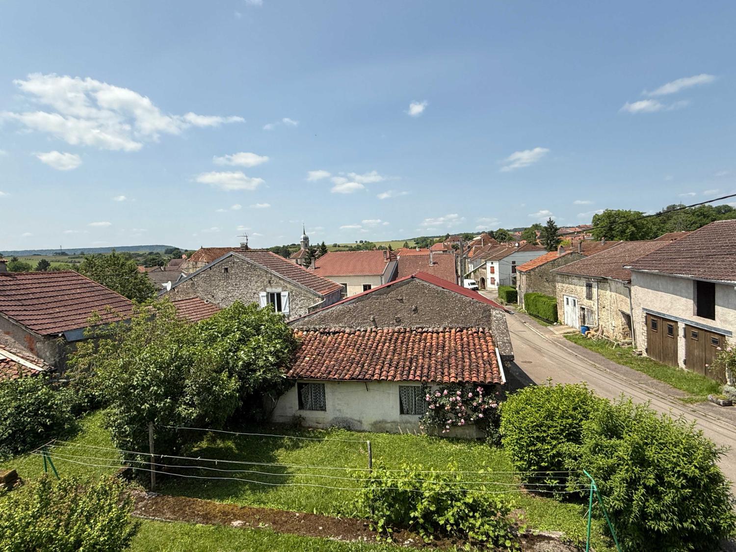  for sale village farm Voisey Haute-Marne 17
