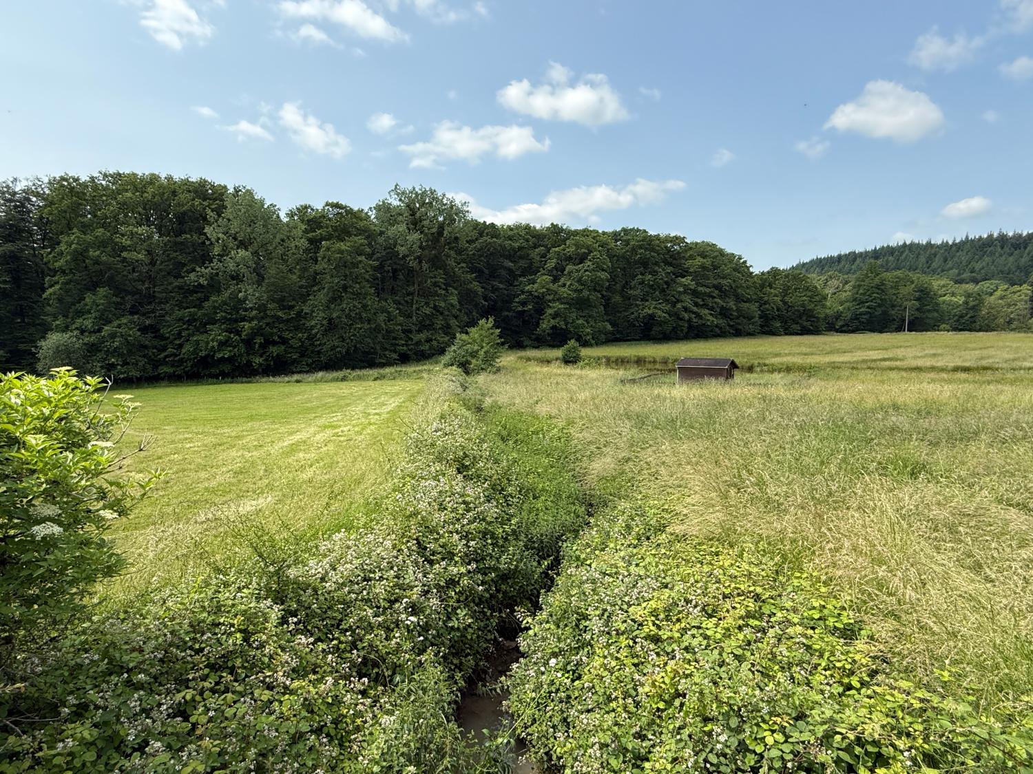  for sale detached house Hennezel Vosges 52