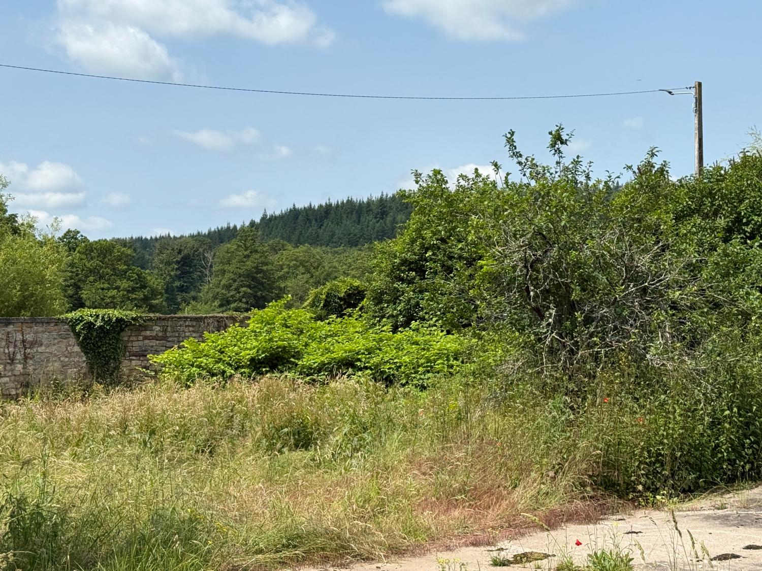  for sale detached house Hennezel Vosges 46