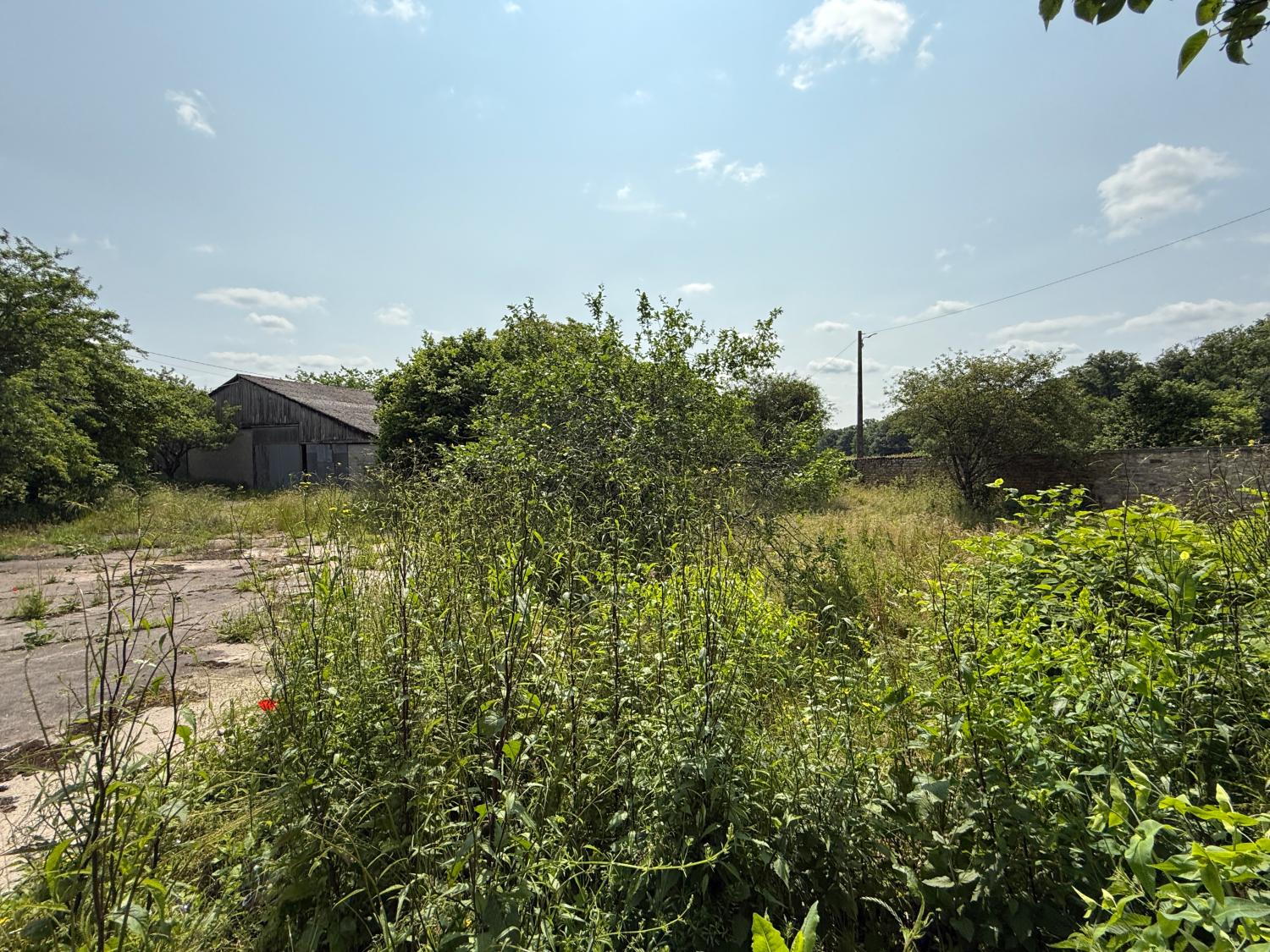  for sale detached house Hennezel Vosges 43