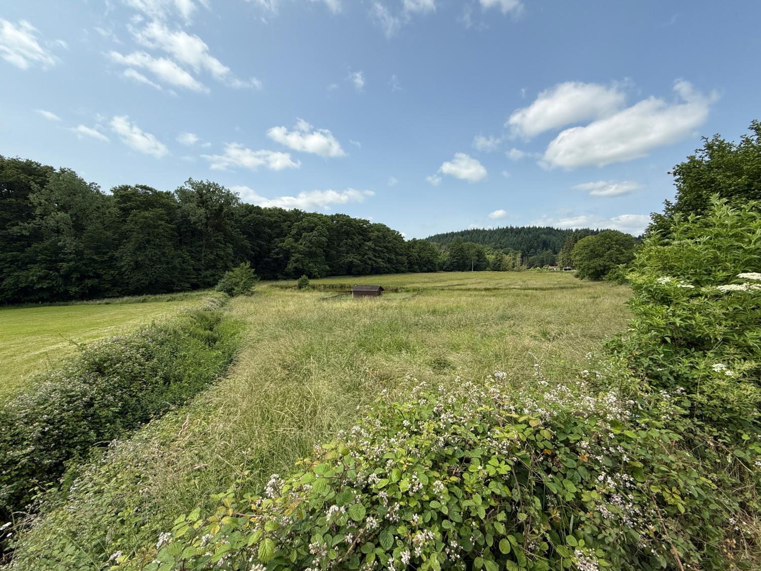  for sale detached house Hennezel Vosges 53