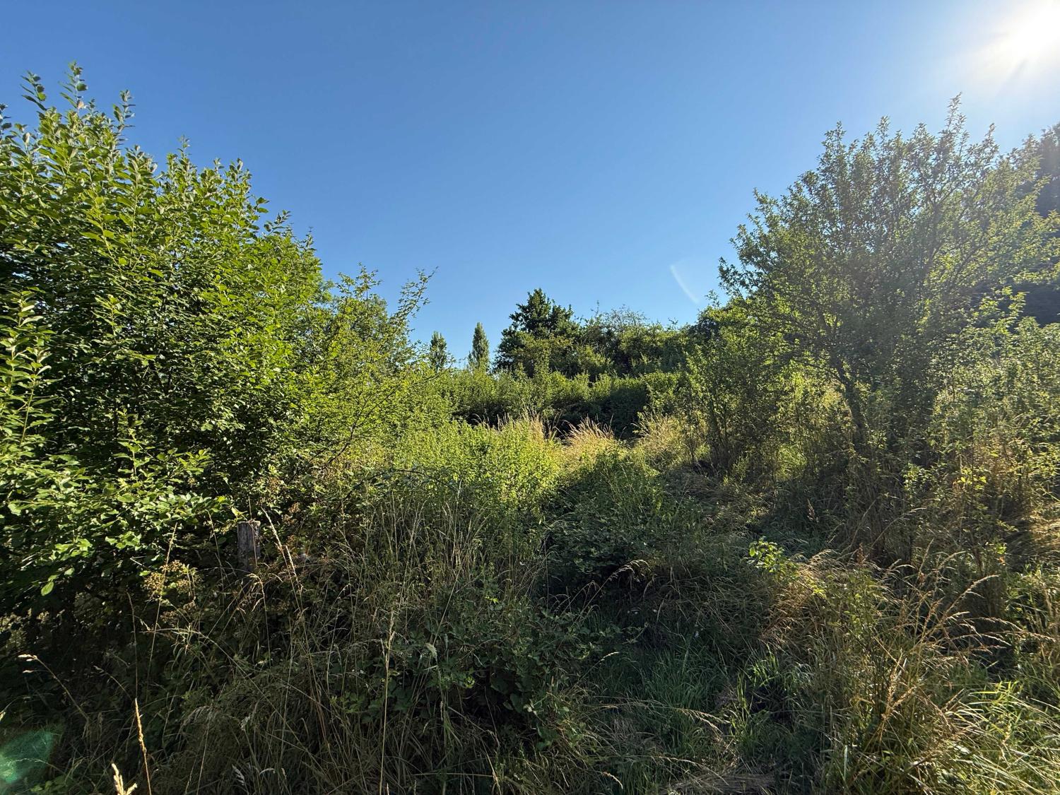  for sale terrain Bourbonne-les-Bains Haute-Marne 8