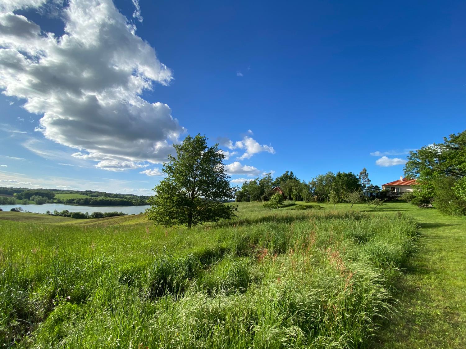  for sale detached house Castillon-Debats Gers 26