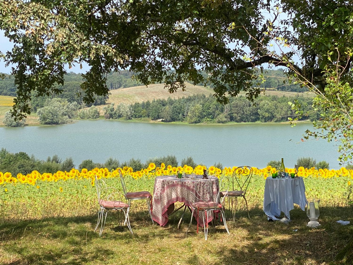  for sale detached house Castillon-Debats Gers 38