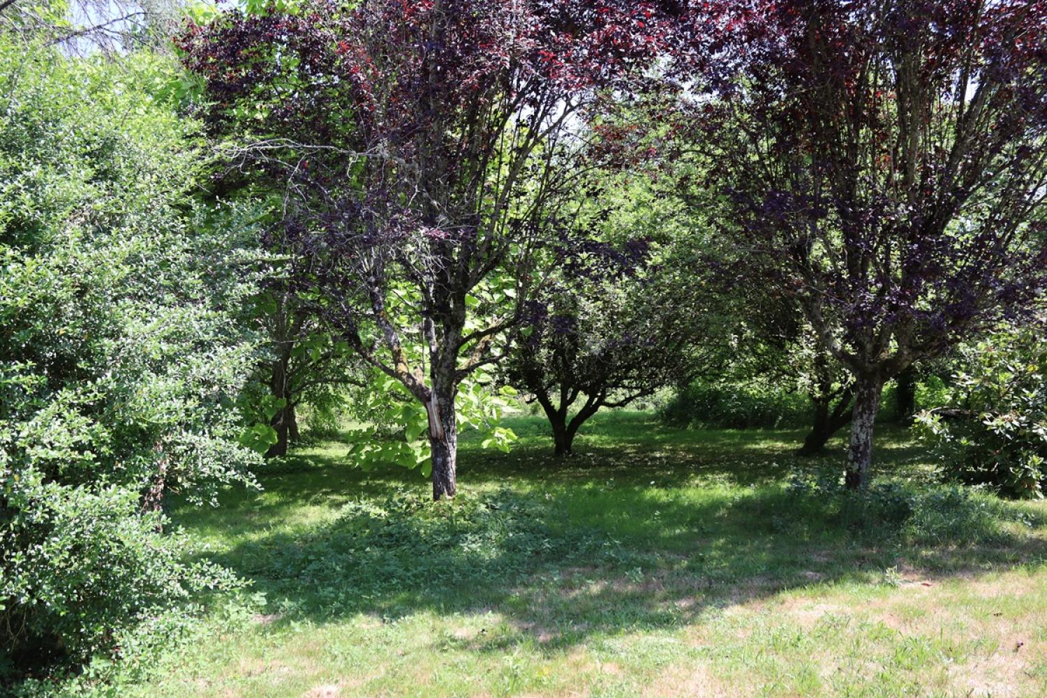  for sale house Saint-Didier-sur-Arroux Saône-et-Loire 7