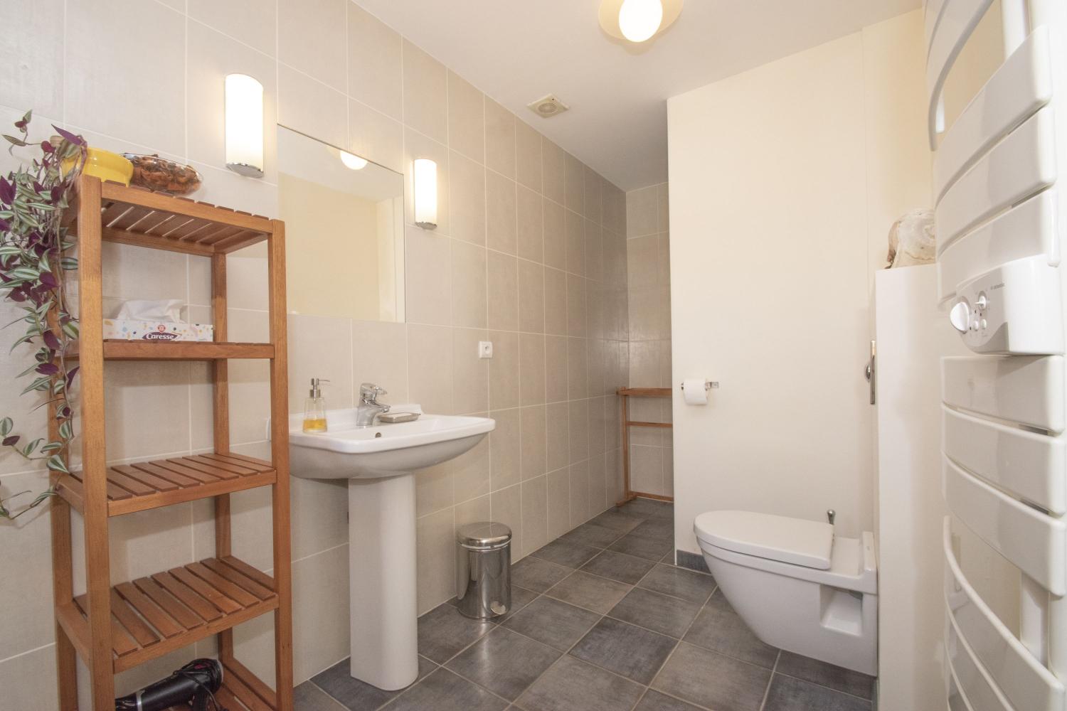  for sale bed and breakfast Castelnau-de-Montmiral Tarn 15