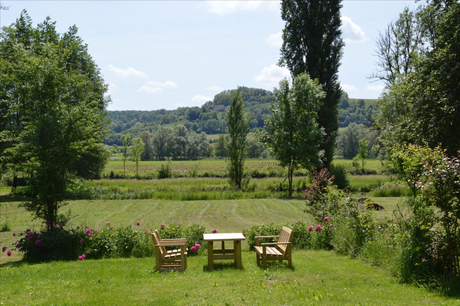  for sale estate Anrosey Haute-Marne 15