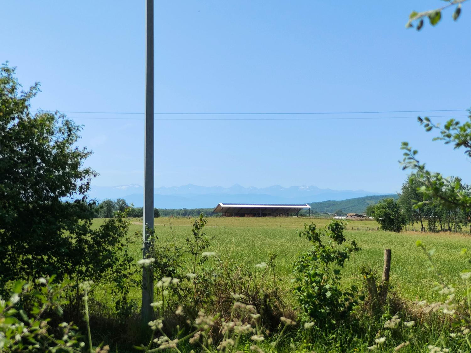  for sale property with holiday home Terrebasse Haute-Garonne 57