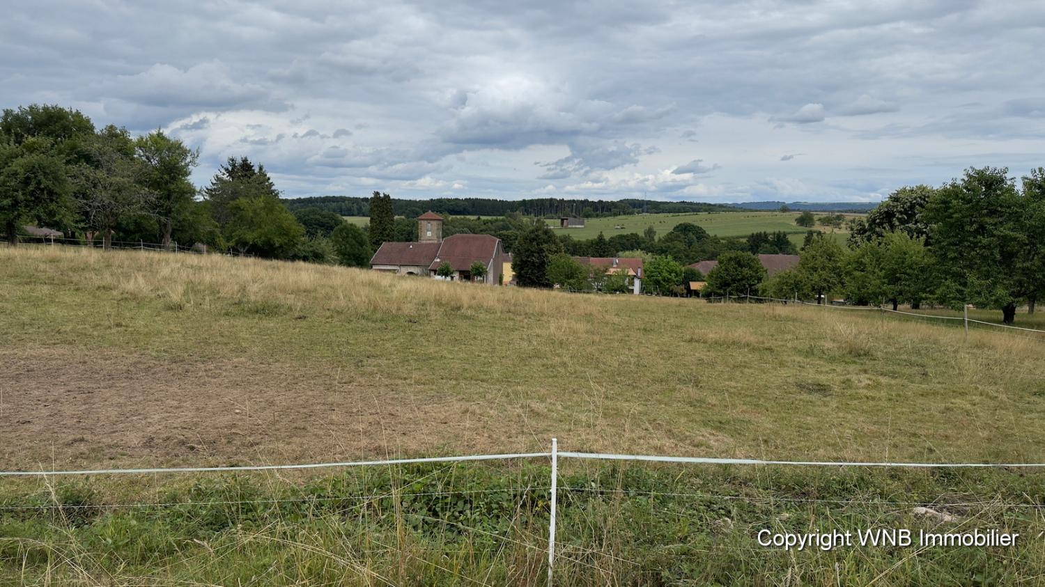  for sale estate Hautmougey Vosges 6