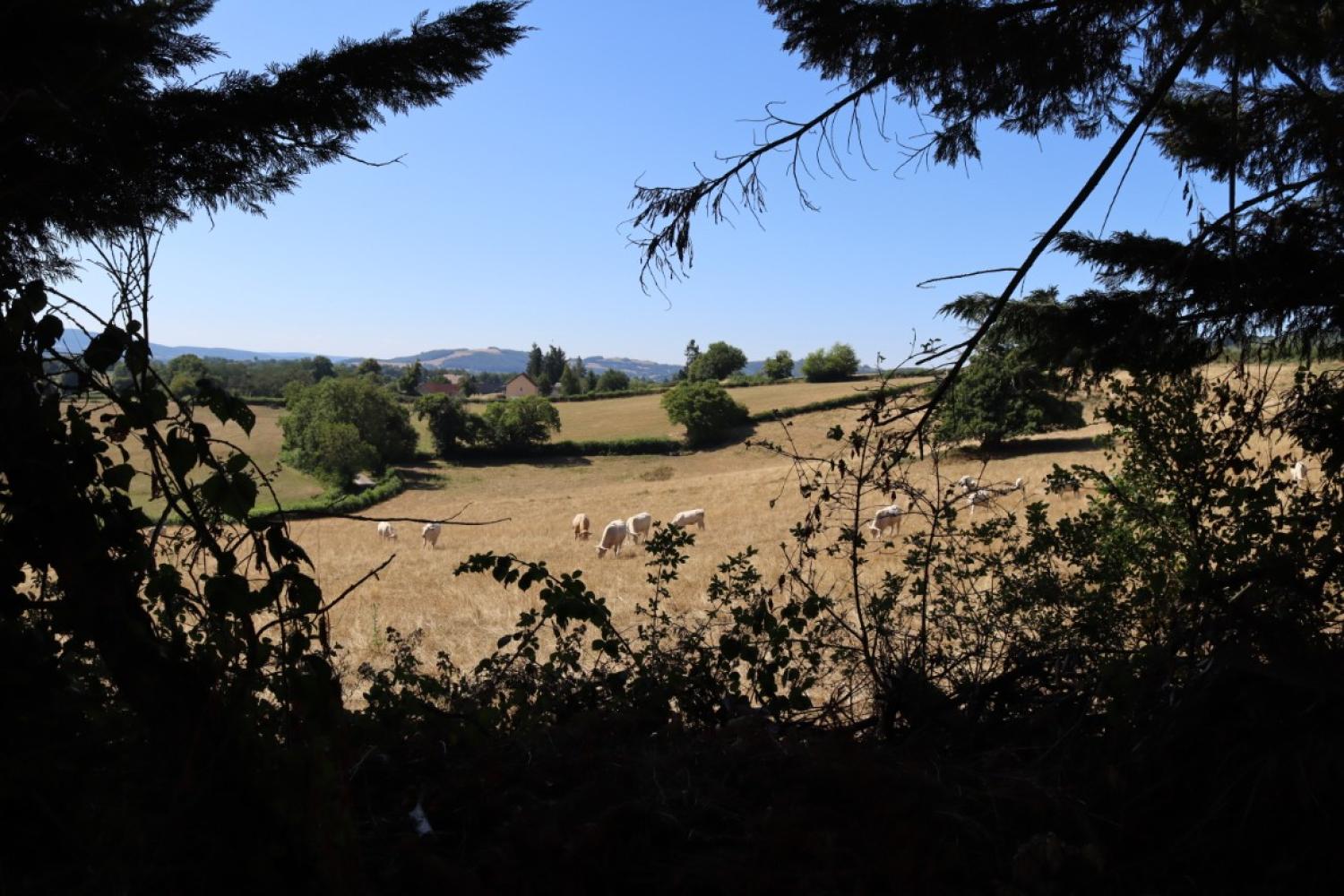 for sale house Saint-Didier-sur-Arroux Saône-et-Loire 3