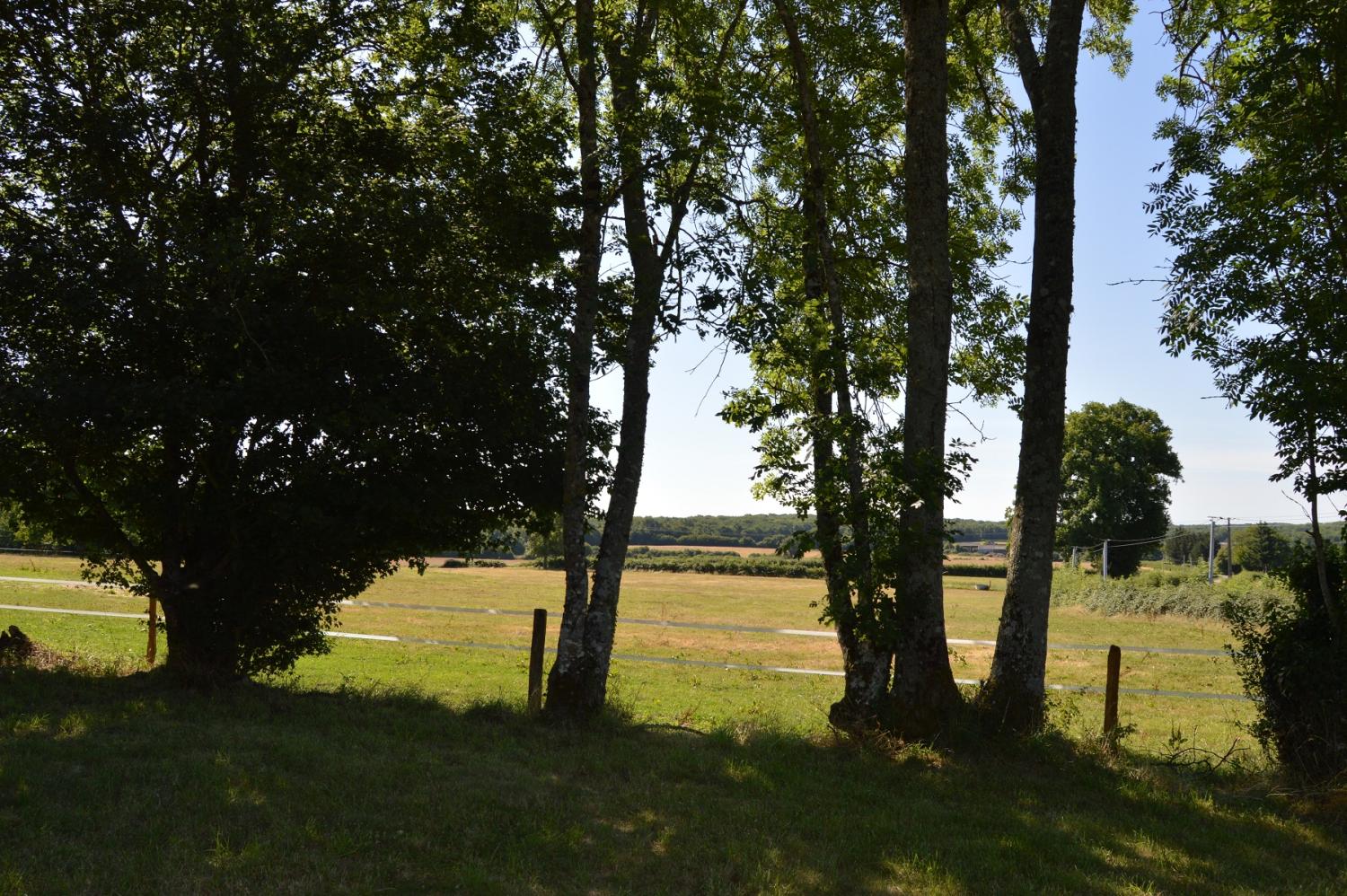  for sale house Montigny-sur-Canne Nièvre 7