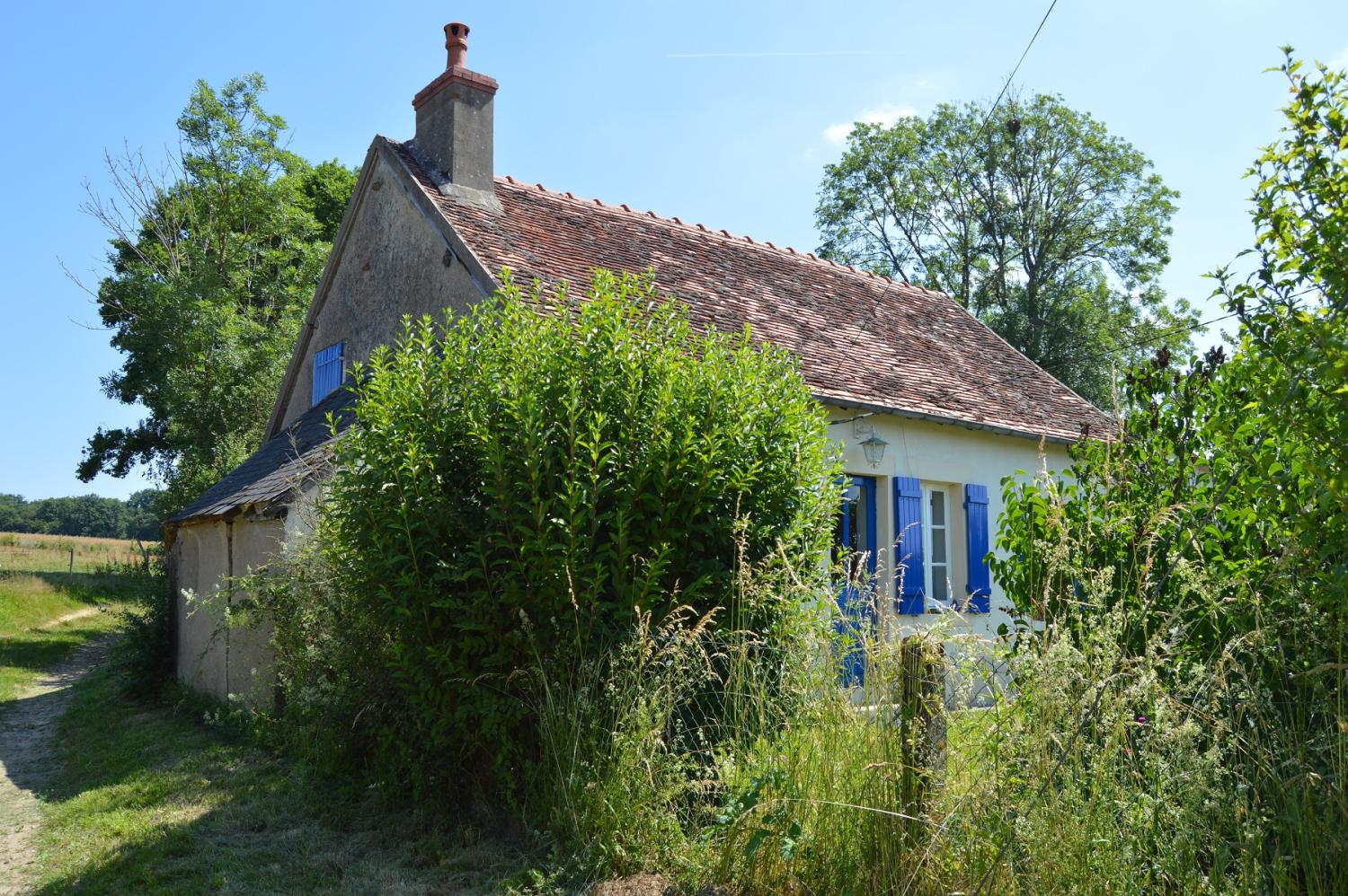 for sale house Montigny-sur-Canne Nièvre 3