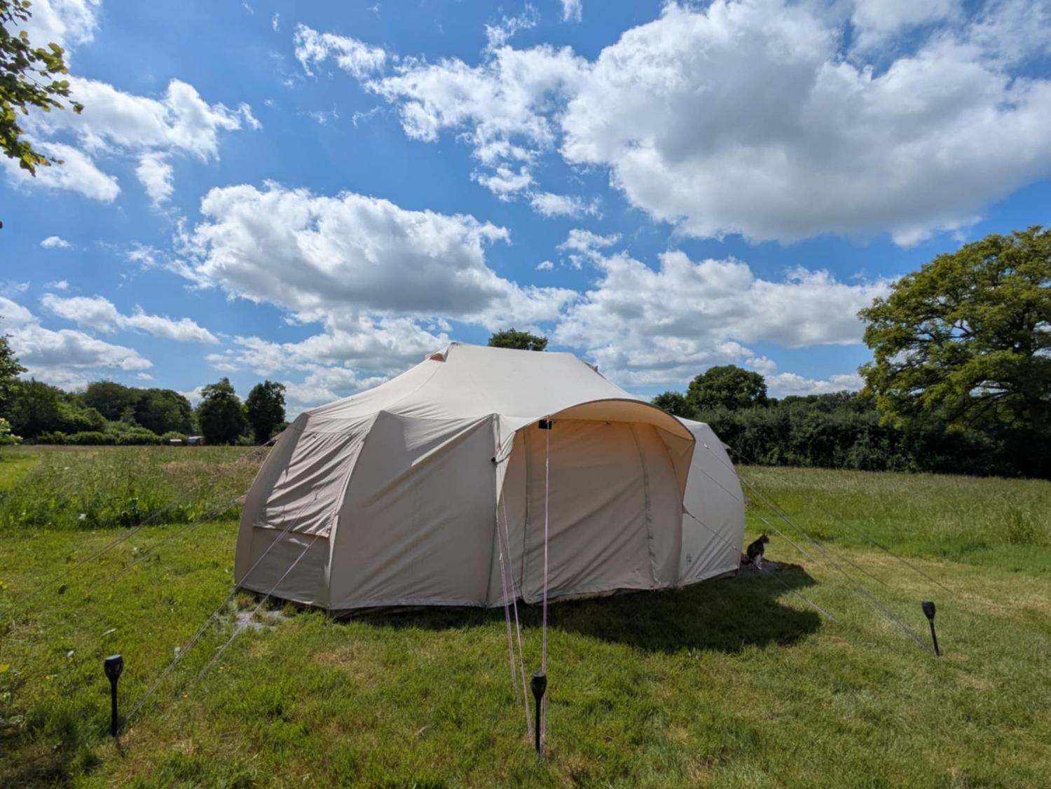  for sale camping Saint-Palais Allier 31