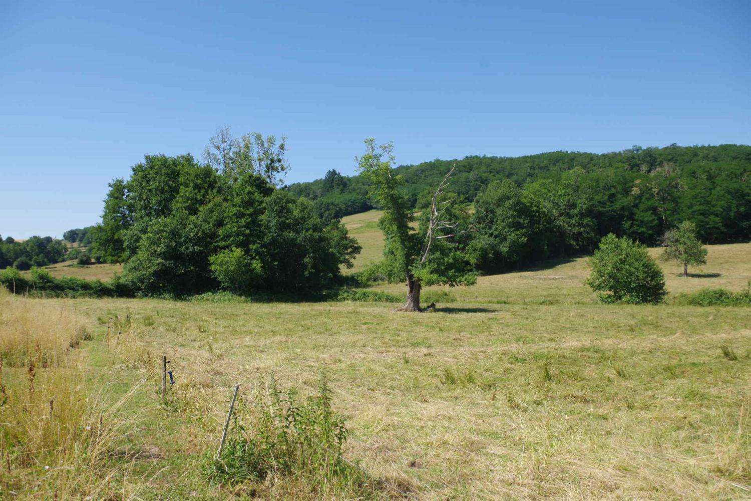  for sale house Onlay Nièvre 8