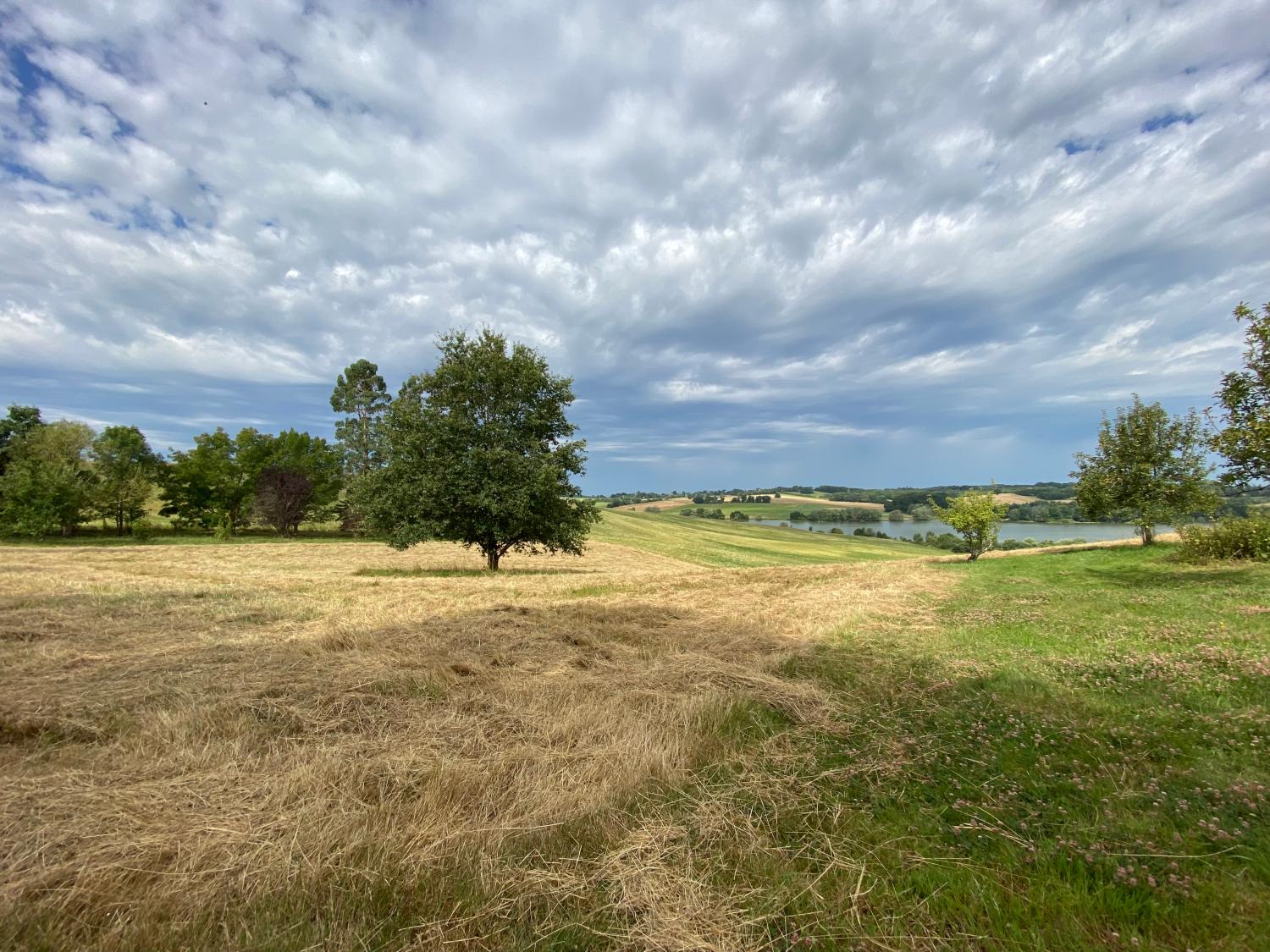  for sale detached house Castillon-Debats Gers 27