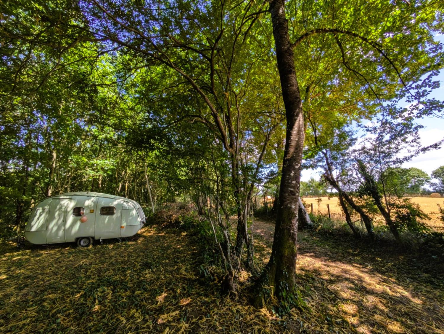  for sale camping Saint-Palais Allier 26