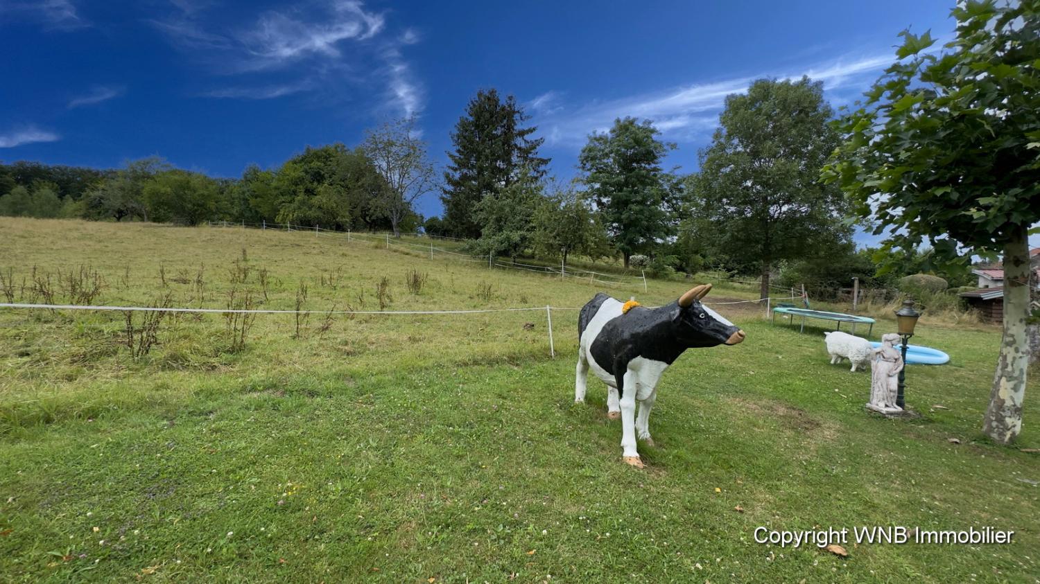  for sale estate Hautmougey Vosges 9