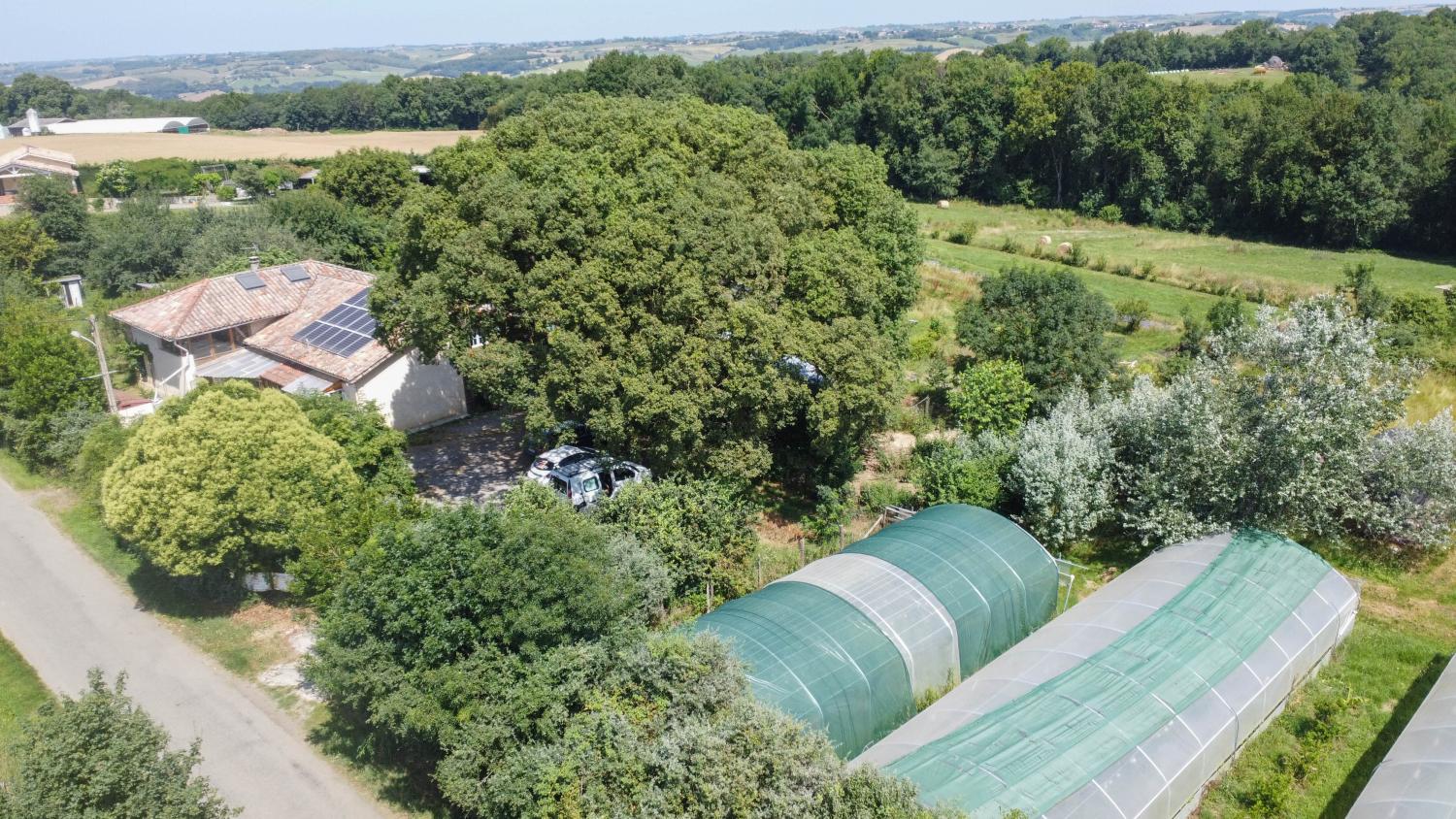  for sale property with holiday home Terrebasse Haute-Garonne 51