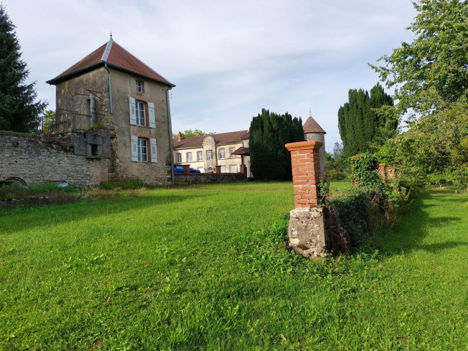  for sale castle Blondefontaine Haute-Saône 40