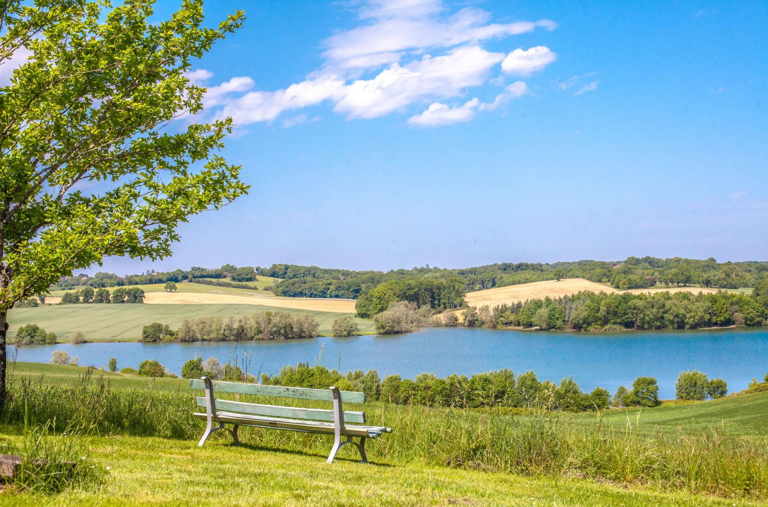  for sale detached house Castillon-Debats Gers 1