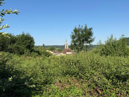 Bourbonne-les-Bains Haute-Marne terrain foto 7114314