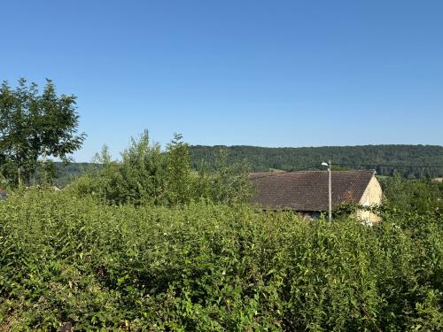  for sale terrain Bourbonne-les-Bains Haute-Marne 6