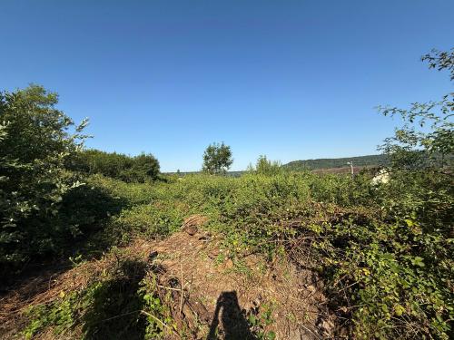  for sale terrain Bourbonne-les-Bains Haute-Marne 5