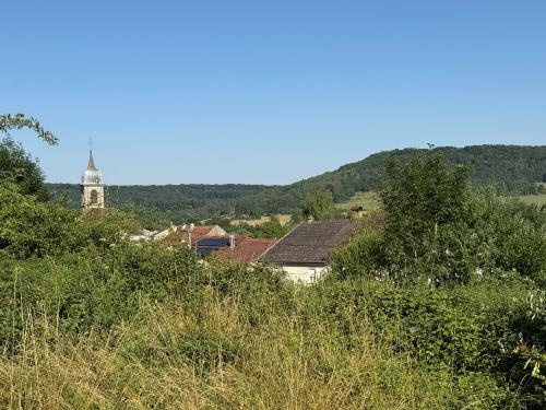  for sale terrain Bourbonne-les-Bains Haute-Marne 10